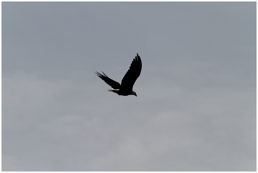 11 - Kelowna (4).jpg